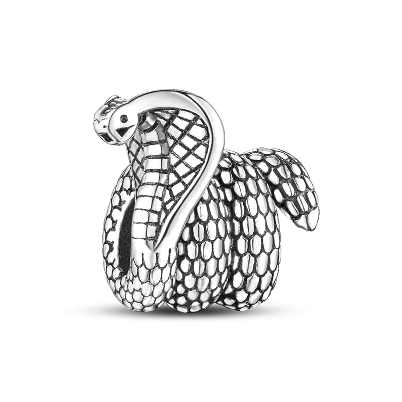 Sterling Silver Bracelet Charm, Charmhub Collection Limited